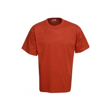 TERRACOTTA